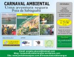 carnaval-ambiental3